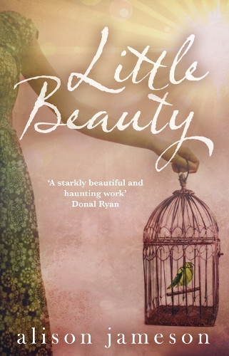 Бумажная книга «Little Beauty», автор Элисон Джеймсон - фото №1