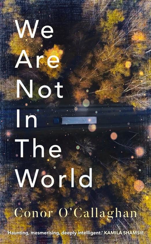 Бумажная книга «We Are Not in the World», автор Конор О'Каллаген - фото №1