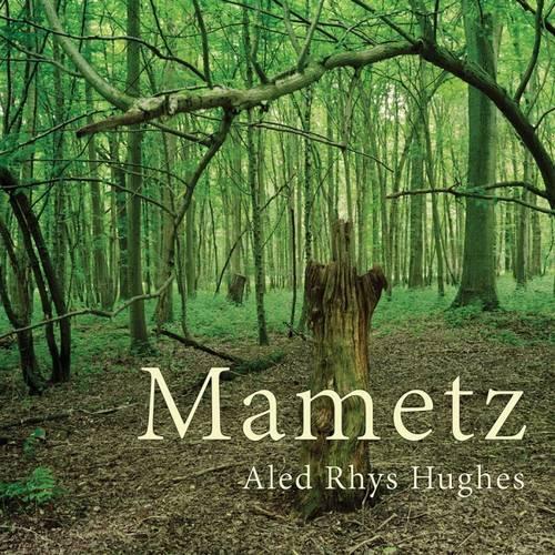 Паперова книга «Mametz», автор Алед Рис Г'юз - фото №1