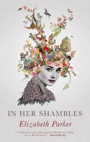 Бумажная книга «In Her Shambles», автор Элизабет Паркер - фото №1