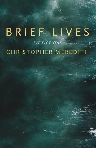 Паперова книга «Brief Lives», автор Крістофер Мередіт - фото №1