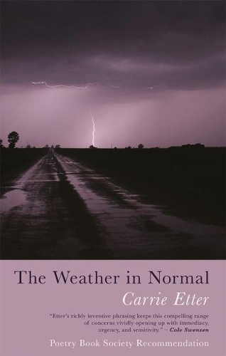 Бумажная книга «The Weather in Normal», автор Кэрри Эттер - фото №1