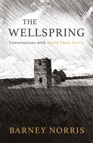 Бумажная книга «The Wellspring: Conversations with David Owen Norris», автор Барни Норрис - фото №1