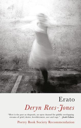 Паперова книга «Erato», автор Дерин Ріс-Джонс - фото №1