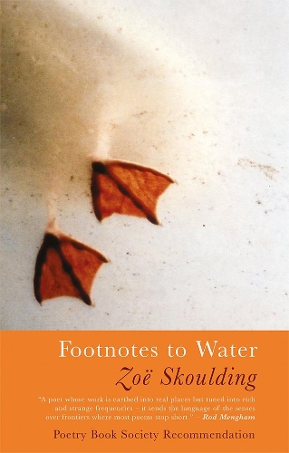 Бумажная книга «Footnotes to Water», автор Зои Скоулдинг - фото №1