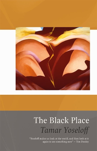 Бумажная книга «The Black Place», автор Тамар Йоселофф - фото №1