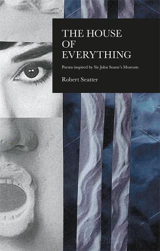 Бумажная книга «The House of Everything: Poems Inspired by Sir John Soane's Museum», автор Роберт Ситтер - фото №1
