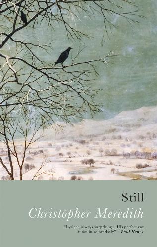 Паперова книга «Still», автор Крістофер Мередіт - фото №1