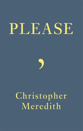 Паперова книга «Please», автор Крістофер Мередіт - фото №1