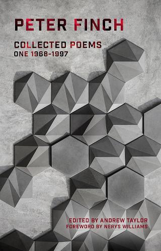 Бумажная книга «Collected Poems: Volume One 1968-1997», автор Питер Финч - фото №1