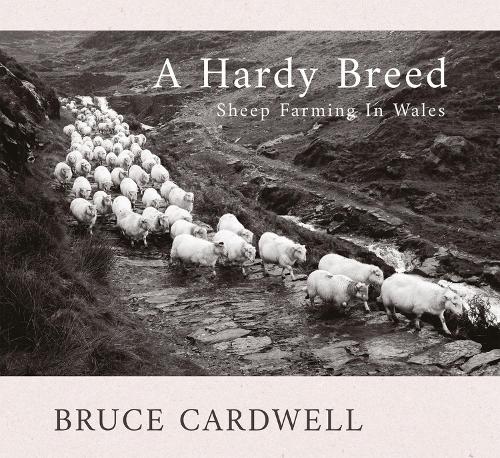 Бумажная книга «A Hardy Breed», автор Брюс Кардуэлл - фото №1