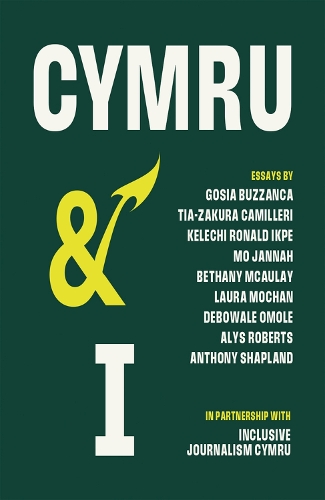 [object Object] «Cymru and I», авторов Элис Робертс, Энтони Шэпленд, Бетани Мкаулей, Дебовале Омоле, Госия Буззанка, Келечи Рональд Икпе, Лаура Мочан, Мо Джанна - фото №1