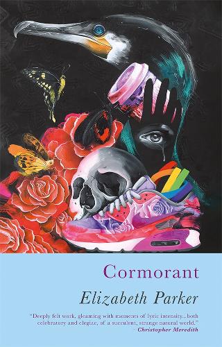 Бумажная книга «Cormorant», автор Элизабет Паркер - фото №1