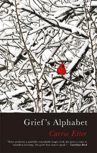 Бумажная книга «Grief's Alphabet», автор Кэрри Эттер - фото №1