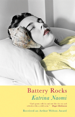 Бумажная книга «Battery Rocks» - фото №1