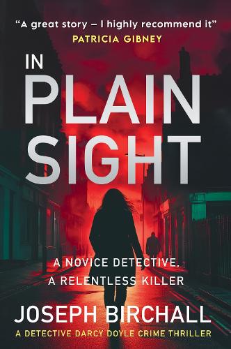 Бумажная книга «In Plain Sight», автор Джозеф Бирчал - фото №1