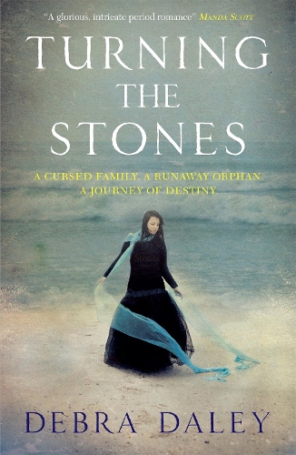 Паперова книга «Turning the Stones», автор Дебра Дейлі - фото №1
