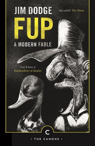 Бумажная книга «Fup: A Modern Fable», автор Джим Додж - фото №1