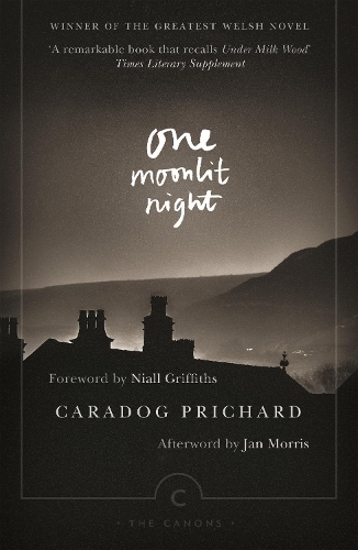 Бумажная книга «One Moonlit Night», автор Карадог Причард - фото №1