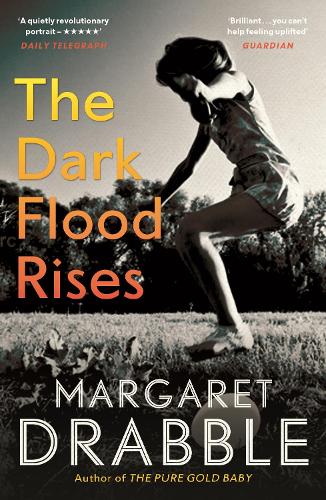 Бумажная книга «The Dark Flood Rises», автор Маргарет Драббл - фото №1