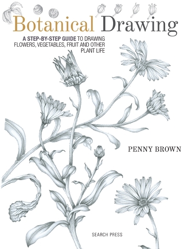 Бумажная книга «Botanical Drawing: A Step-by-Step Guide to Drawing Flowers, Vegetables, Fruit and Other Plant Life», автор Пенни Браун - фото №1