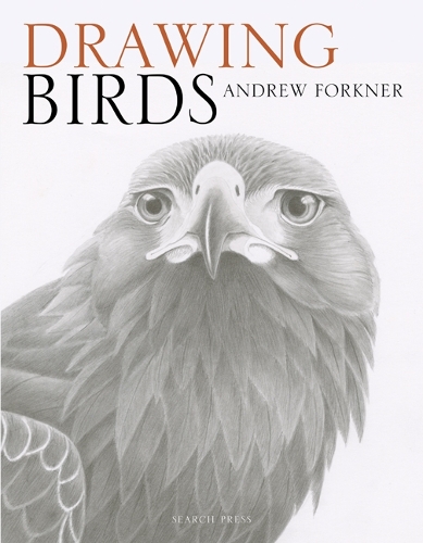 Бумажная книга «Drawing Birds», автор Эндрю Форкнер - фото №1