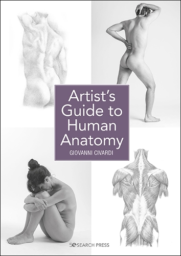 Бумажная книга «Artist's Guide to Human Anatomy», автор Джованни Чиварди - фото №1