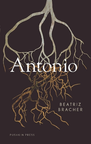 Бумажная книга «Antonio», автор Беатрис Бракер - фото №1