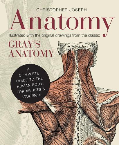 Бумажная книга «Anatomy: A Complete Guide to the Human Body, for Artists & Students», автор Кристофер Джозеф - фото №1
