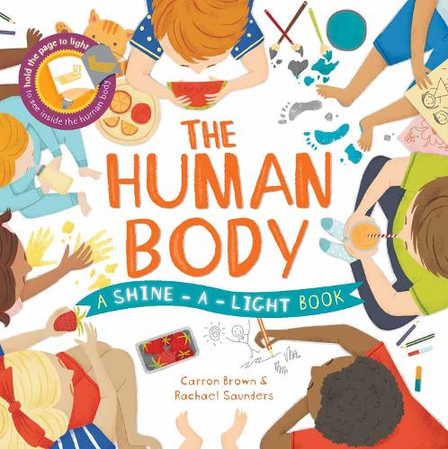 Бумажная книга «The Shine a Light: Human Body», авторов Кэррон Браун, Рэйчел Сондерс - фото №1