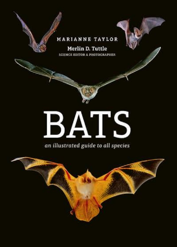 Бумажная книга «Bats. An illustrated guide to all species», автор Марианна Тейлор - фото №1