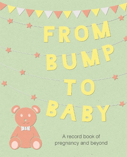 [object Object] «From Bump to Baby: A Record Book of Pregnancy and Beyond», автор CICO Books - фото №1
