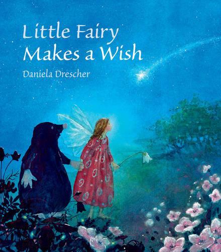 Бумажная книга «Little Fairy Makes a Wish», автор Даниэла Дрешер - фото №1