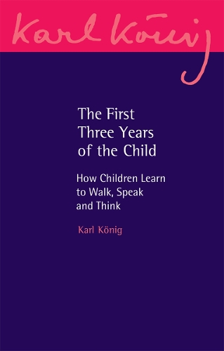 Бумажная книга «The First Three Years of the Child: How Children Learn to Walk, Speak and Think», автор Карл Кениг - фото №1