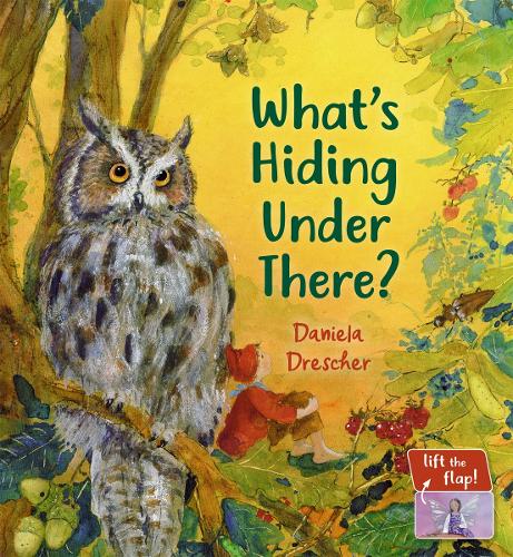 Бумажная книга «What's Hiding Under There?: A Magical Lift-the-Flap Book», автор Даниэла Дрешер - фото №1