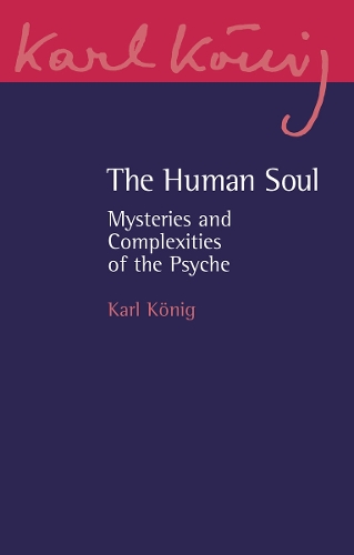 Бумажная книга «The Human Soul: Mysteries and Complexities of the Psyche», автор Карл Кениг - фото №1