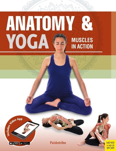 Паперова книга «Anatomy & Yoga: Muscles in Action», автор Мірея Патіньо Колл - фото №1