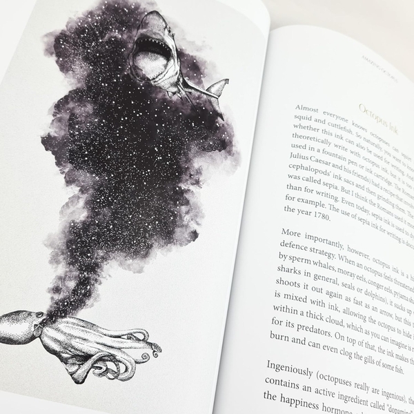 Паперова книга «Amazing Octopus: Creature From an Unknown World», автор Майкл Ставарич - фото №1