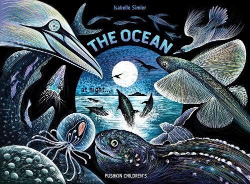 Паперова книга «The Ocean at Night», автор Ізабель Сімлер - фото №1