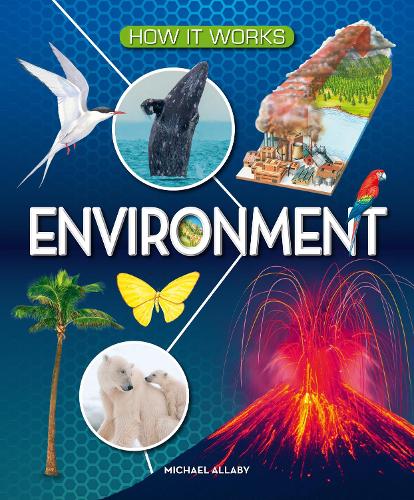 [object Object] «How It Works: Environment» - фото №1