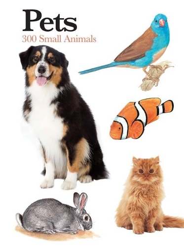 Бумажная книга «Pets: 300 Small Animals», автор Клаудия Мартин - фото №1