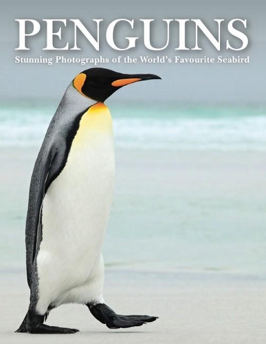Бумажная книга «Penguins: Stunning Photographs of the World's Favourite Seabird», автор Том Джексон - фото №1