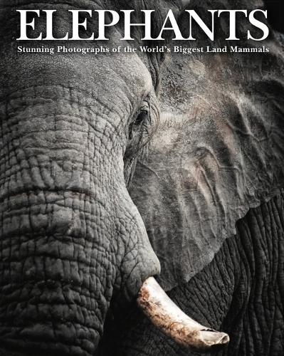 Бумажная книга «Elephants: Stunning Photographs of the World's Biggest Land Mammals», автор Том Джексон - фото №1