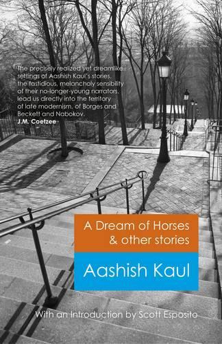 Бумажная книга «Dream of Horses & Other Stories, A», автор Аашиш Каул - фото №1