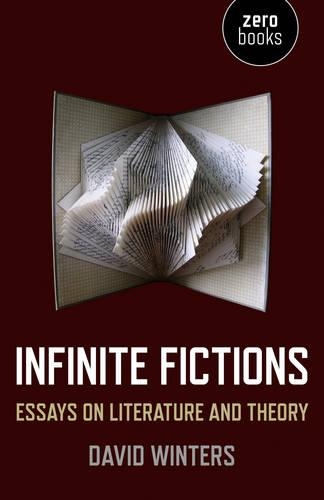 Бумажная книга «Infinite Fictions – Essays on Literature and Theory», автор Дэвид Уинтерс - фото №1