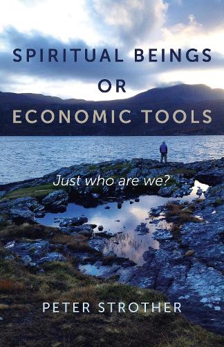 Бумажная книга «Spiritual Beings or Economic Tools – Just who are we?», автор Питер Стротер - фото №1