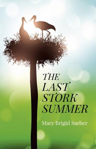 Бумажная книга «Last Stork Summer, The», автор Мэри Бриджид Сурбер - фото №1
