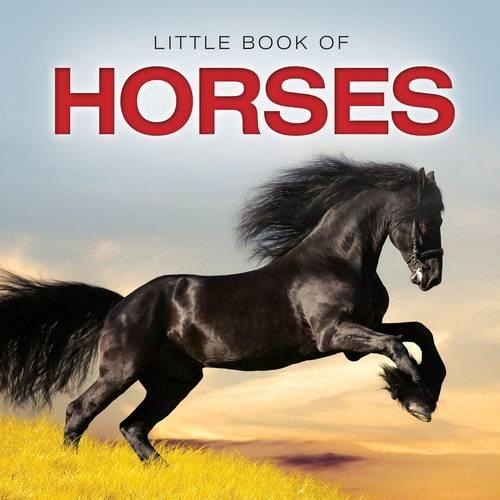 Паперова книга «Little Book of Horses», автор Джон Страуд - фото №1