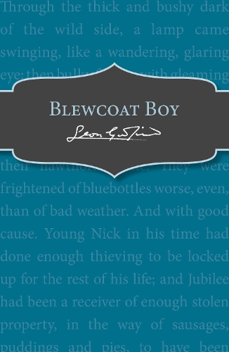 Бумажная книга «Blewcoat Boy», автор Леон Гарфилд - фото №1