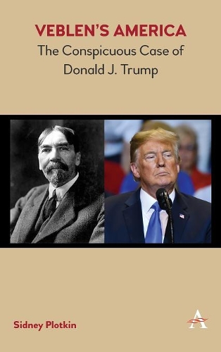 Бумажная книга «Veblen’s America: The Conspicuous Case of Donald J. Trump», автор Сидни Плоткин - фото №1